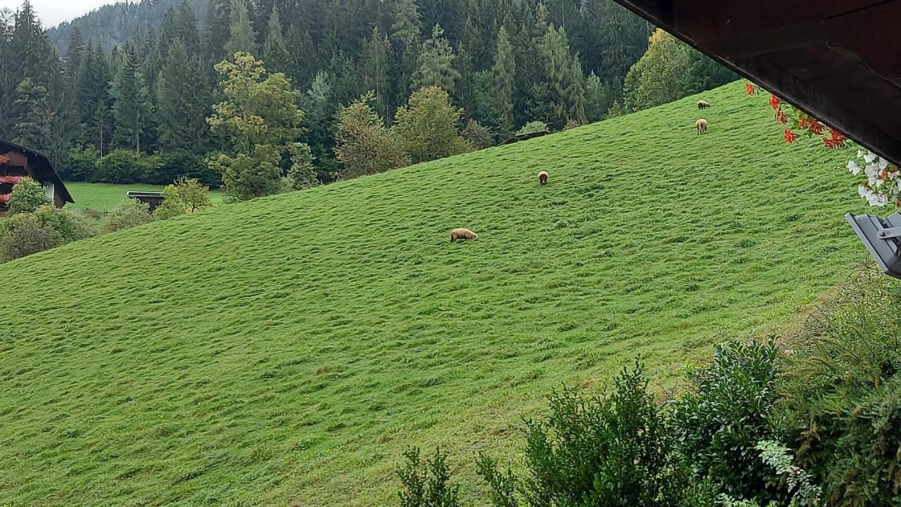 Appartements Zellner Alpbach Eksteriør billede